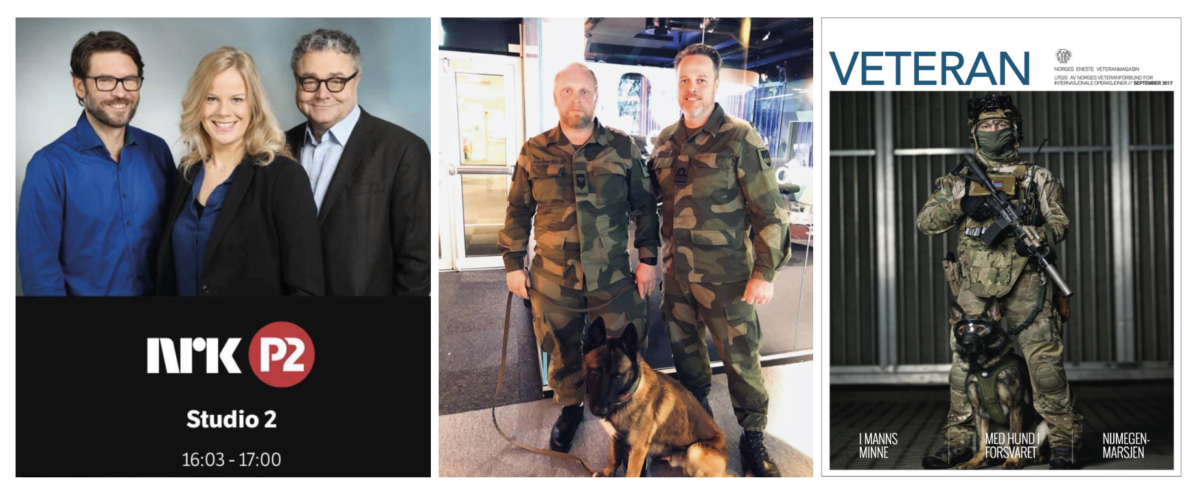 Hva brukes hunder til i et moderne forsvar?