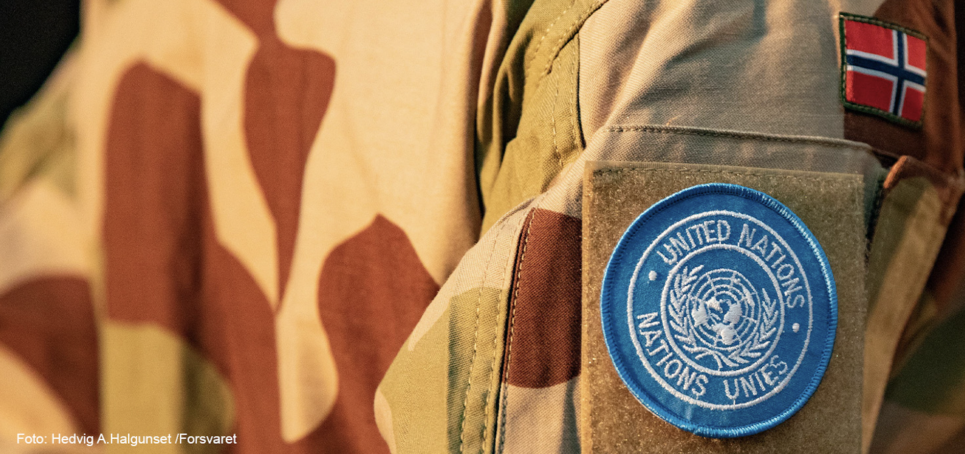 NVIOs nyhetsbrev, februar 2021